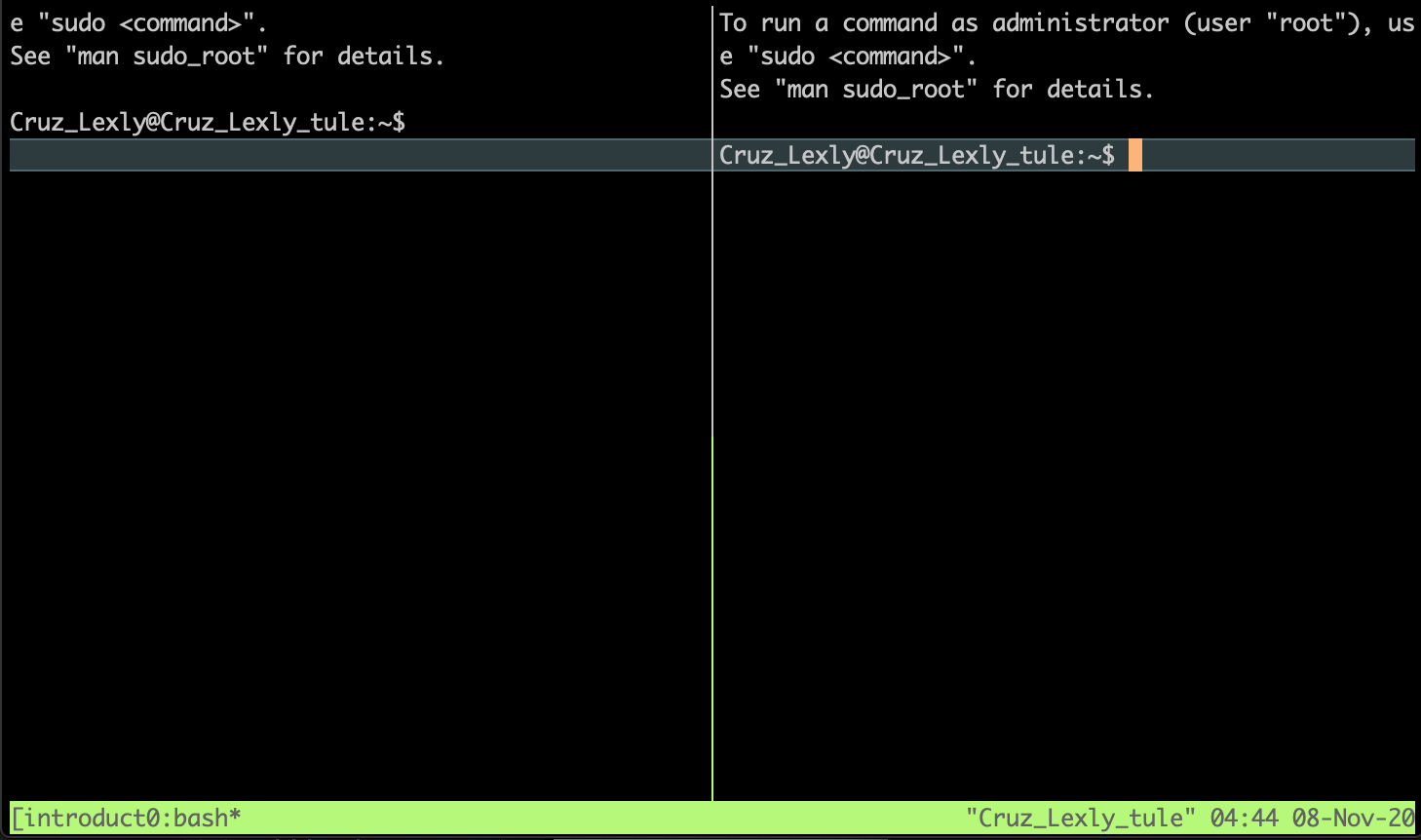 tmux pane vertical split screenshot