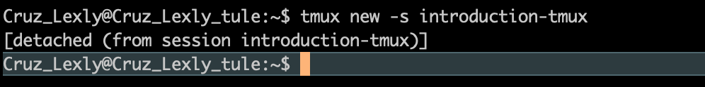 tmux exit session screenshot