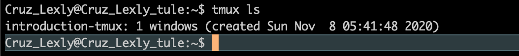 tmux ls screenshot