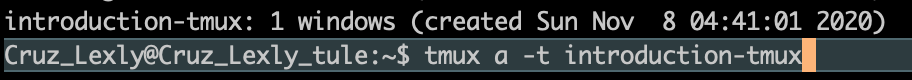 Back to tmux session screenshot