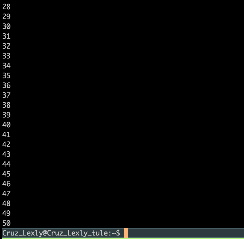 tmux complete run screenshot