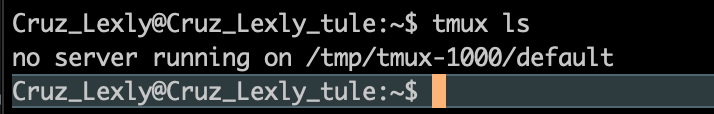 No tmux sessions listed screenshot